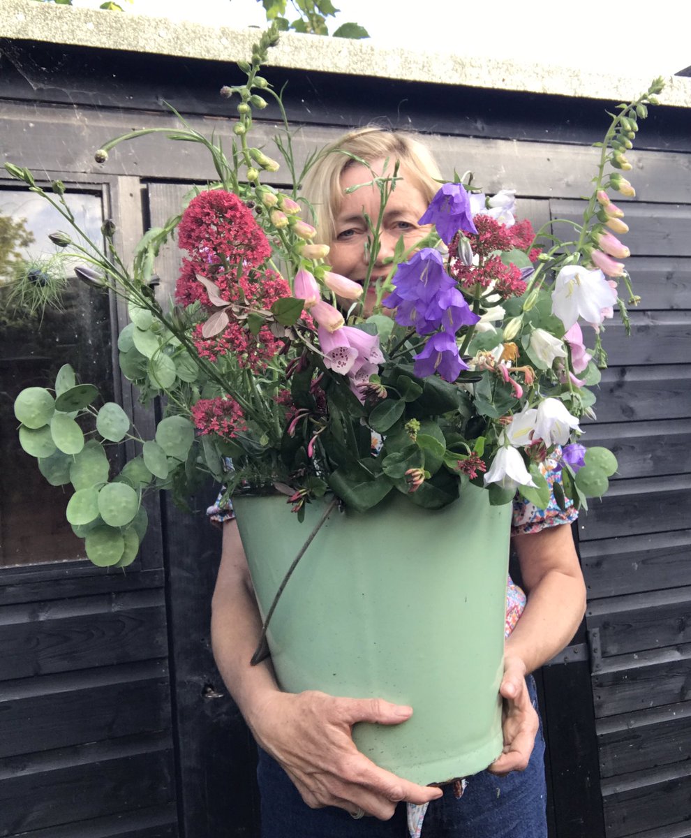 A bucketful of homegrown flowers. Foxgloves, roses, Canterbury bells (extra large this year!), honeysuckle, honesty and red valerian. #mygardentoday #homegrownflowers