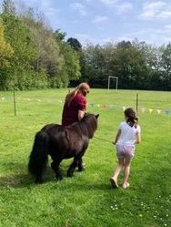 Our Marley went to visit his friends at Little Treasures Autism Charity a couple of weeks ago.  Amazing to see the children's confidence grow before your eyes....To start off being nervous to even come beside a real pony to the sense of achievement when they take him for a walk!
