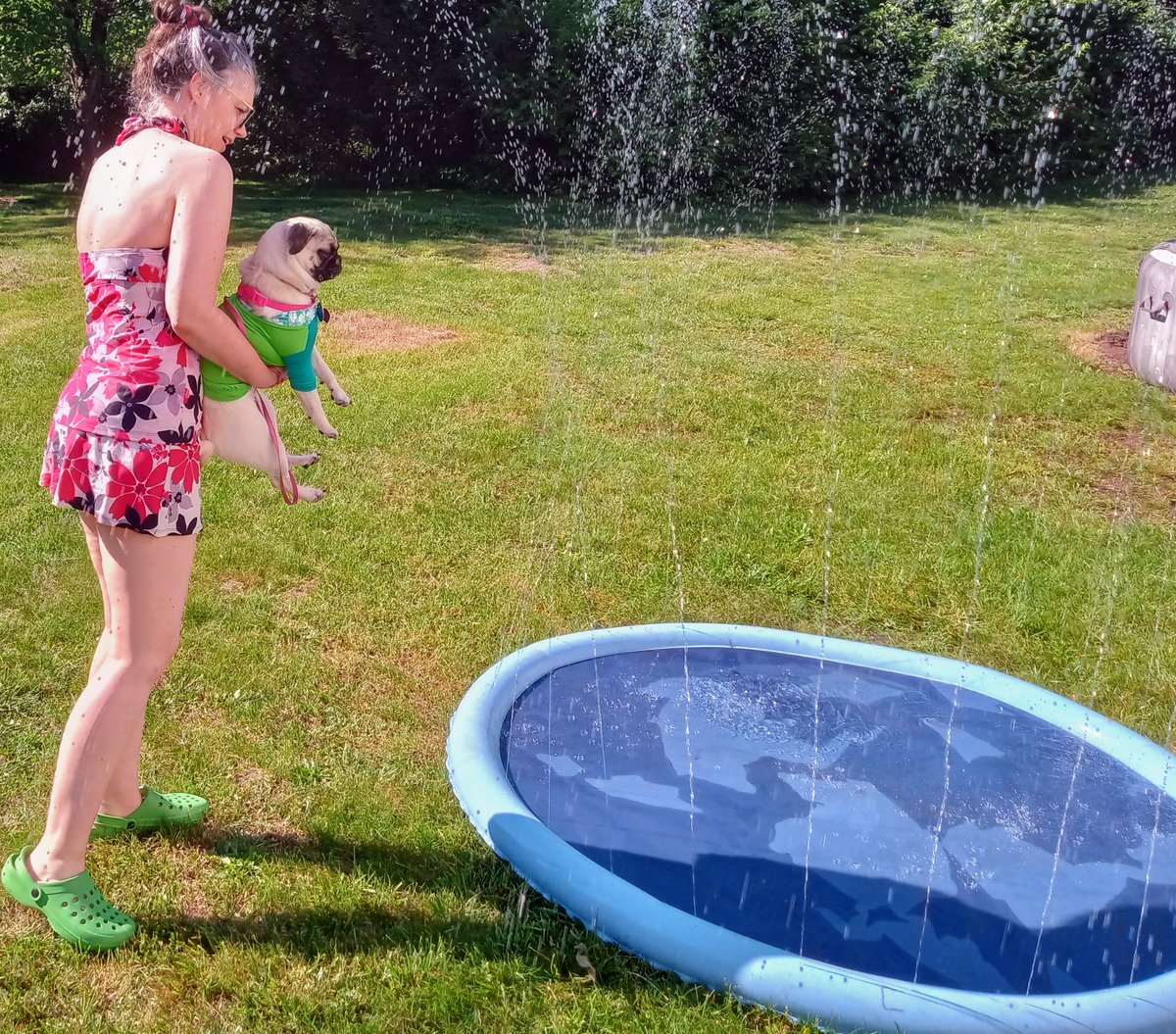 #SundayFun Princess Puggy in a swim shirt trying out the splash pad!🩱👸🐾😎 She was afraid so I had to hold her up so sorry for showing me!lol #pugs #pug #dogsoftwitter #dogsofx #summer #puglove #puglife #puglover