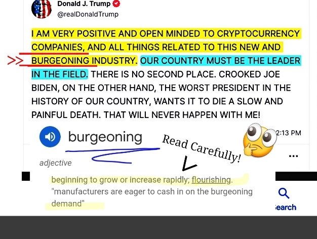 BrandonLawXRP's tweet photo. Cryptos best chance by far.

#Crypto is #Burgeoning!!

#btc    #bitcoin    #xrp #theta #ethereum https://t.co/2J87Tydmfv