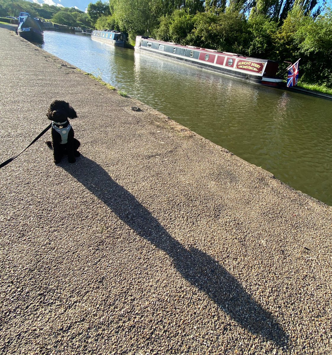bikeitderek's tweet photo. @mkfuturenow @KeynesiaMilton even something as simple as walking the dog can be such a joy in the @TheParksTrust open spaces. MK a special city https://t.co/2I09mp3qCd