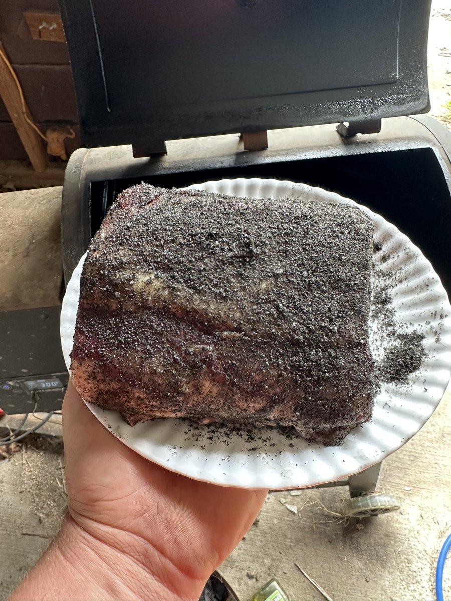 FakeTylerMorgan's tweet photo. @DeaceProducer Rib roast… #WillItSmoke https://t.co/DYmAwijAhj