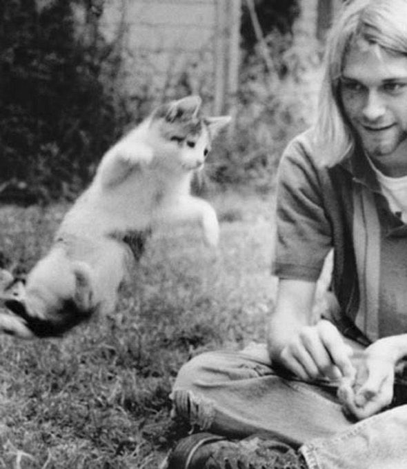 Kurt Cobain watching his cat play.