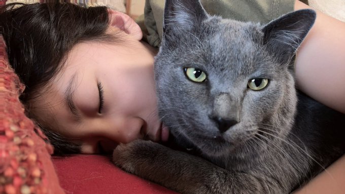 Twitterのコスプレ画像4