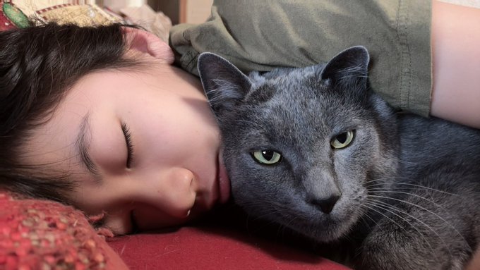 Twitterのコスプレ画像3