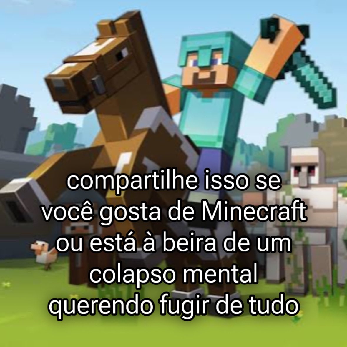 comunidademc's tweet image. 