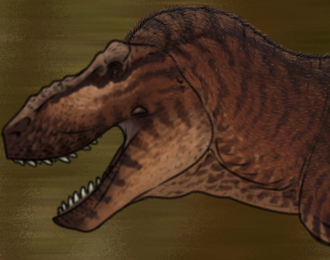 the biggest carnivore the world has ever seen!!! , the king of the dinosaurs!!! tyrannosaurus rex .

#paleoart #paleoarte #tyrannosaurus #rex