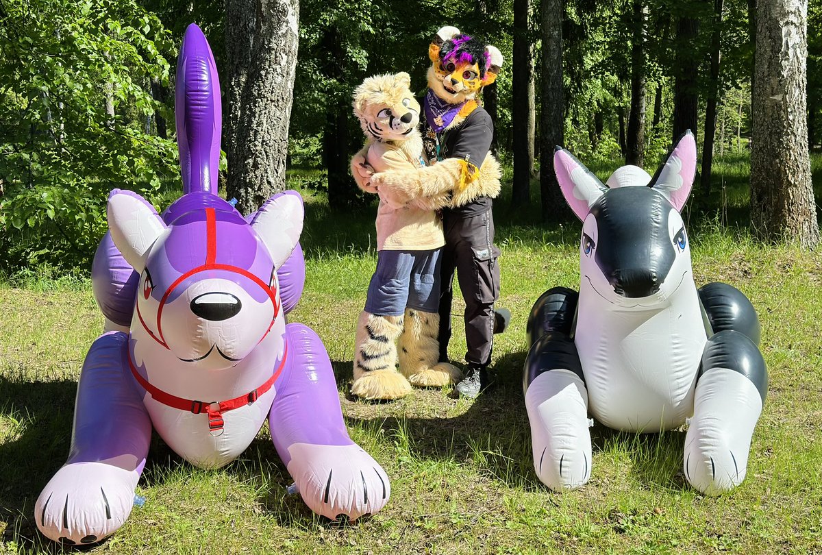 Beautiful nature, birdsong, warm sun, and a pink wolf in a harness 🌲🌅
This day is wonderful!

🐾: @PuffyPawsToys
🐆:@namiritiger 
✨: @InflateThemAll 

     #SqueakySaturday