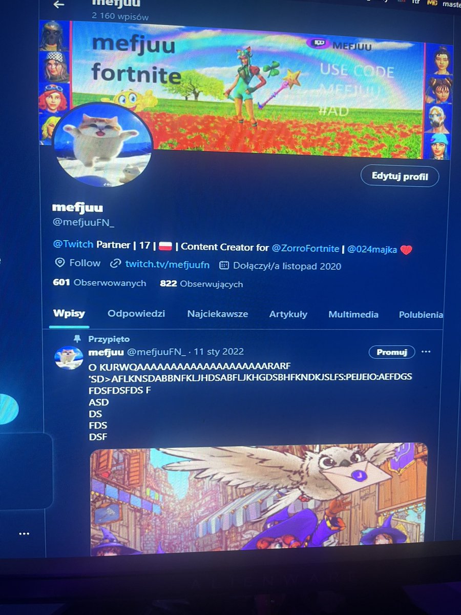 mefjuu tweet media