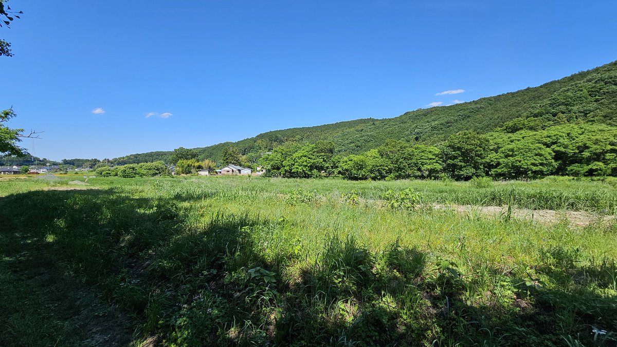 A cafe using an abandoned school.  very good time with rocket3r. 

#rocket3r
#分校カフェMOZART