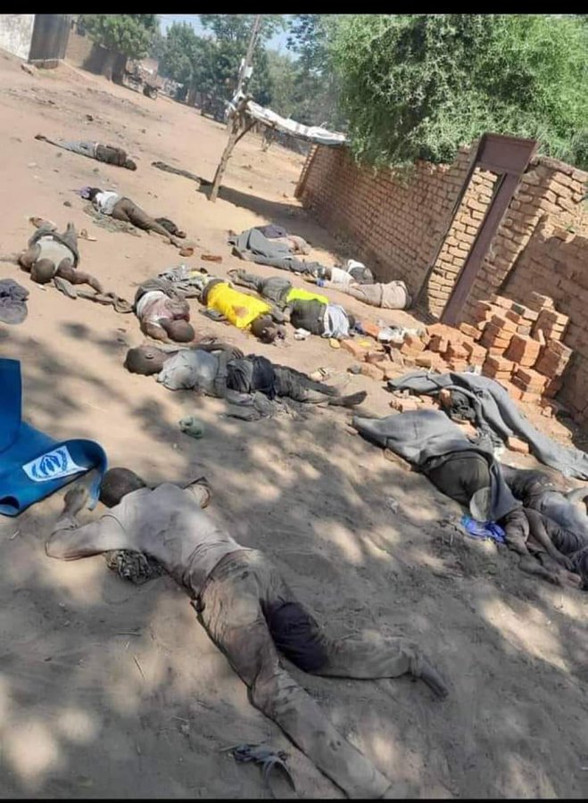 لا خير فينا إن نسينا وغفلنا عن السودان الجريح.
#السودان_تباد