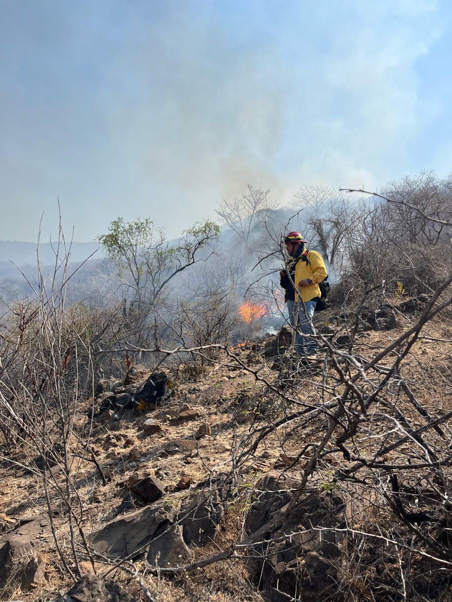 #IncendiosForestales Brigada Aipromades con 7 elementos, una unidad; <a href="/SemadetJal/">SEMADET Jalisco</a> Trojes con 9, una unidad, UMPCYB Poncitlán 3 elementos, una unidad, combatiendo en el paraje Cerro Grande.