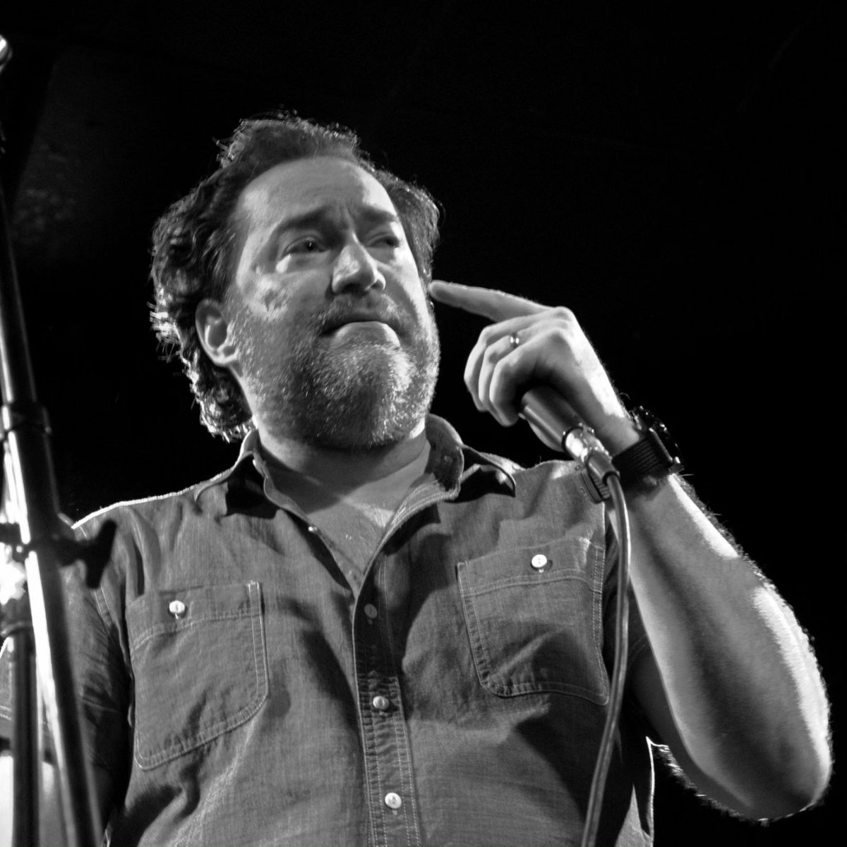 Moose on the Loose tweet media