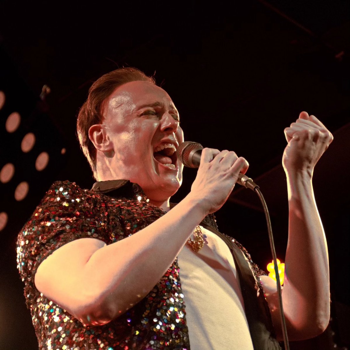 Moose on the Loose tweet media