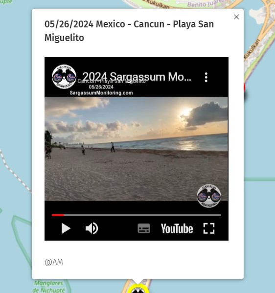 May. 26th 2024 #Mexico #Mexique #Cancun Check out all the pictures of the day on the map 2024 here : sargassummonitoring.com/en/official-ma… #sargassum #sargasso #sargazo #sargasses #sargassummonitoring #SurveillancedesSargasses #MonitoreodeSargazo #RivieraMaya #sargassumseaweedupdates