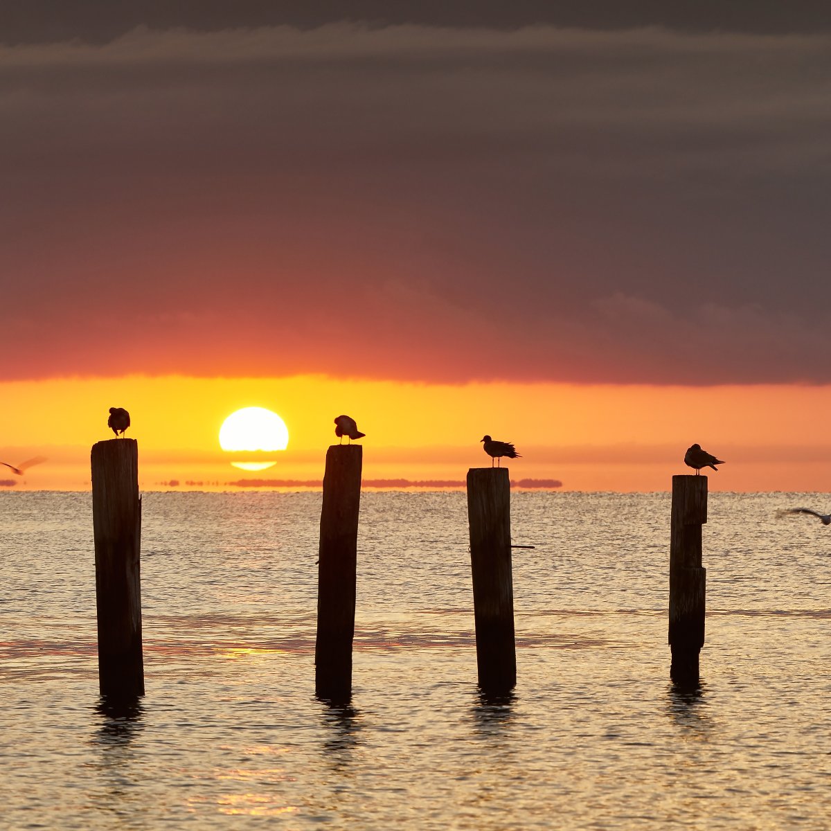Take a deep breath, relax, and enjoy some classic Bay beauty® on us. 📷: Bob Garrigus 📍: North Beach, MD