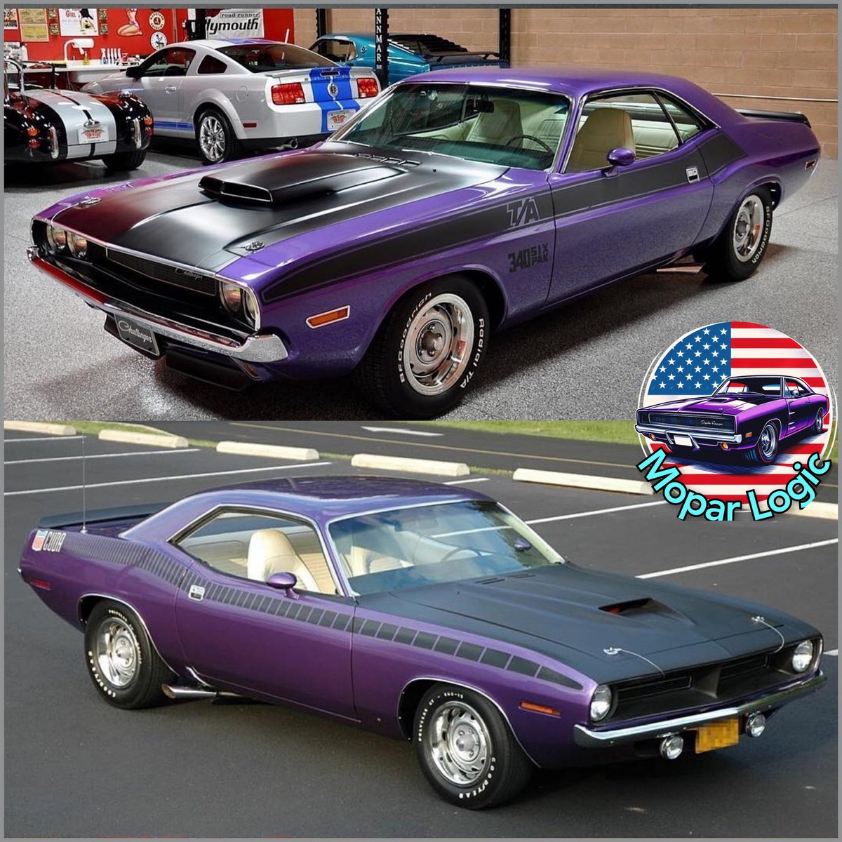 Top or bottom?