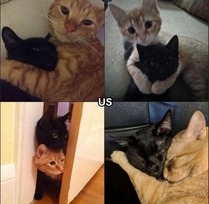 you &amp; who