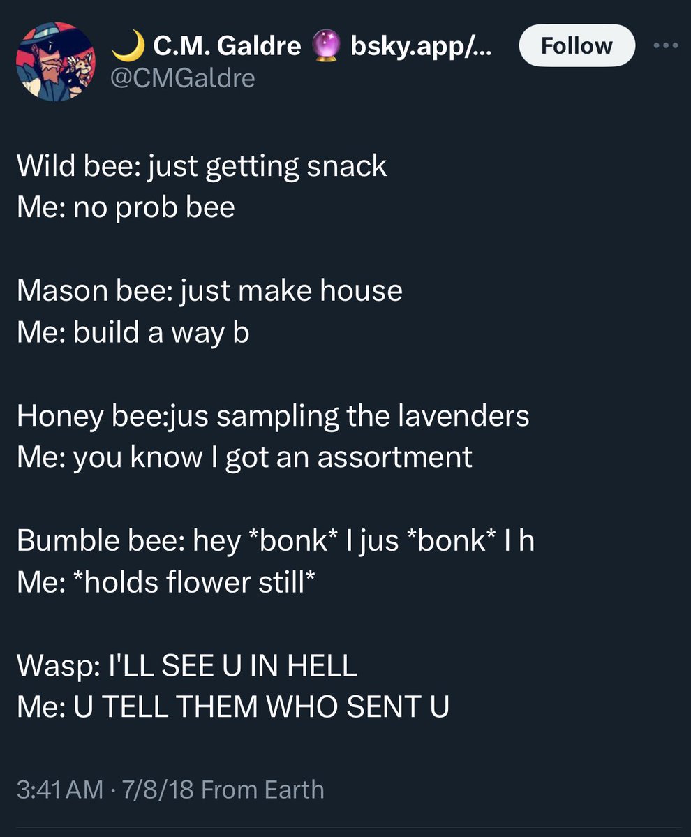 Every time I see a bee, I murmur, “You know I got an assortment”