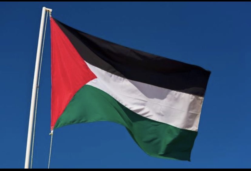 Palestine, ils t'oublient et ferment les yeux mais sache qu'on est avec toi. Palestine, tu vaincras un jour, un peu de patience. ❤️🇵🇸