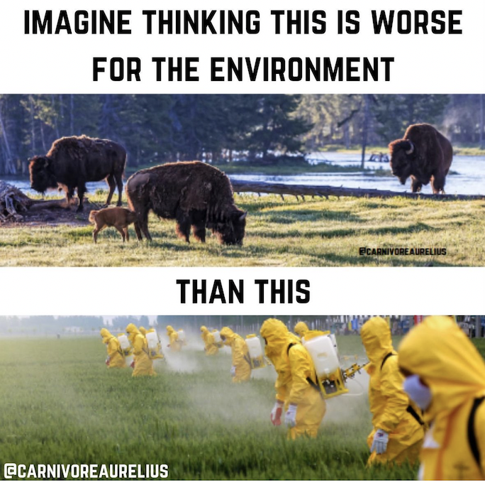 Carnivore Aurelius ©🥩 ☀️🦙 tweet media