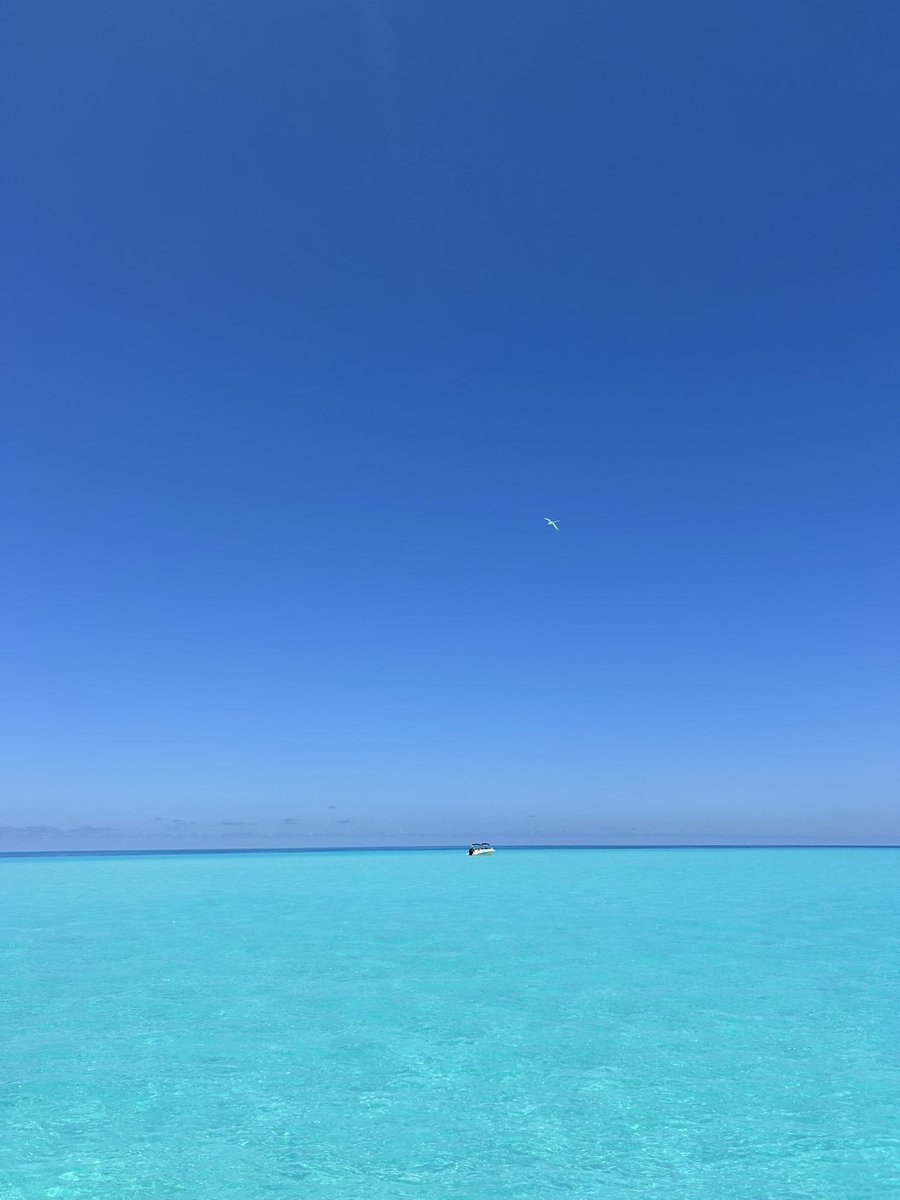 m0niquexox's tweet photo. We are so lucky to live in Bermuda 🥹🩵 https://t.co/KlFmoXvcUJ