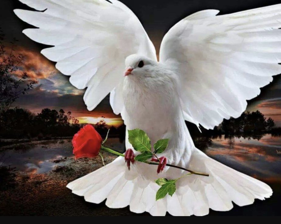 #HappySunday 🌞 

Faith is a bird that flies free,🌹⚔️ 
#BeTheLight #SpreadHope #GoodVibesOnly #IQRTG #womenintech #ThinkBIGSundayWithMarsha