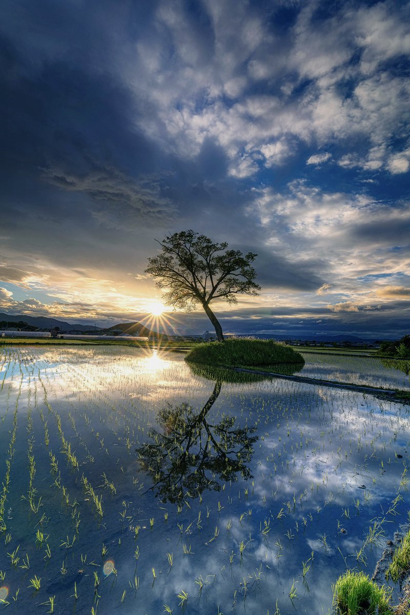 奈良県にも
たくさんの水田絶景がありますよ🤭
(2022)
