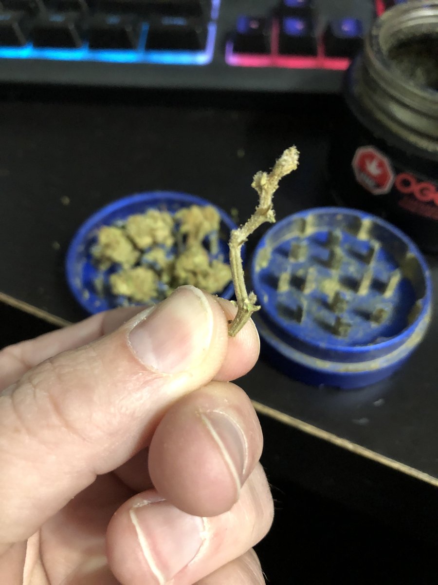 StonerDad 🇨🇦 tweet media