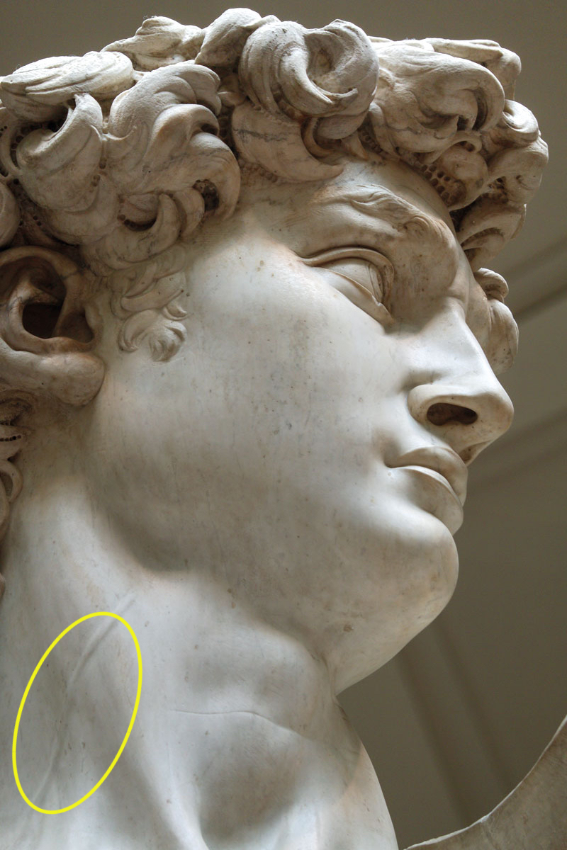 Mais de 100 anos antes de a ciência médica descrever o sistema circulatório, Michelangelo esculpiu perfeitamente a veia jugular na sua estátua de David.    

Essa característica é anatomicamente precisa: o herói bíblico está em estado de excitação, enquanto se prepara para