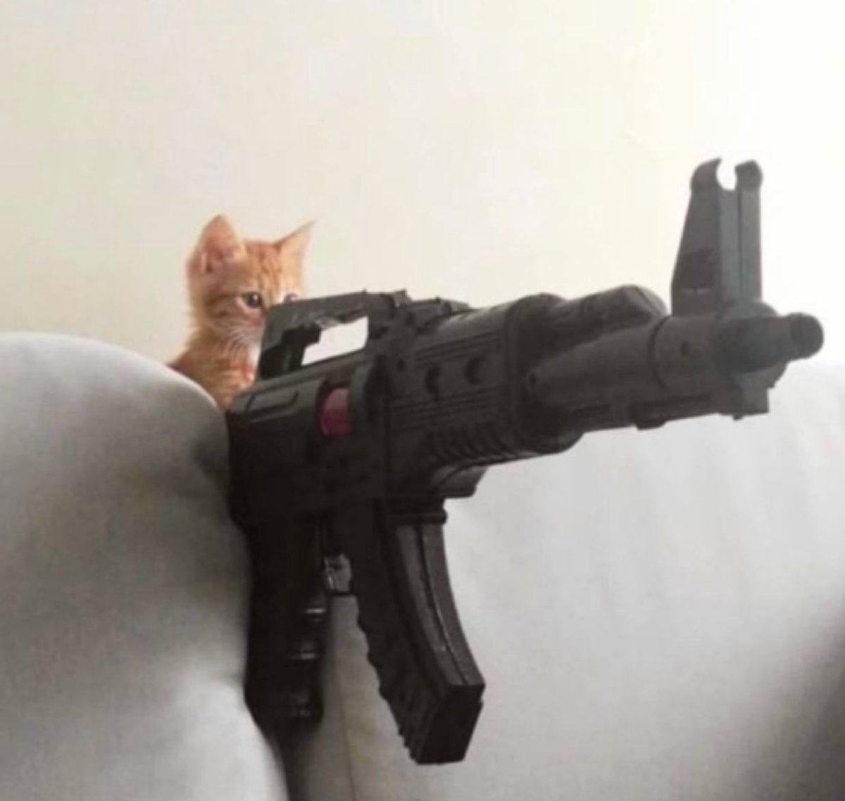 CatGunSolana's tweet photo. @notthreadguy Top not in until the clip is empty https://t.co/2i0lvDOJOq
