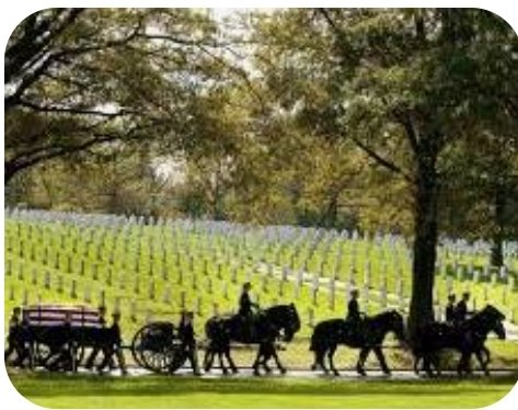 truckster1's tweet photo. @TJandCasper 🫡😔🙏
#MemorialDay
#GardensOfStone https://t.co/oGwsJz5uAm
