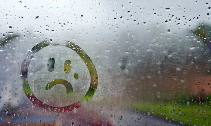 Norman G Powers Public School tweet media