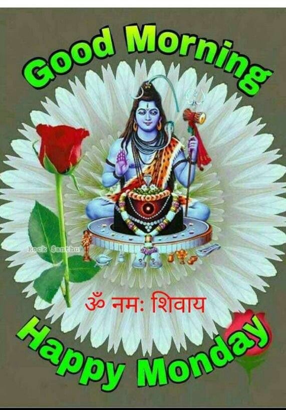 Monday good morning to my all Twitter friends 🙏🙏🙏🙏🙏🙏🙏🙏🙏🙏🙏🙏🙏🙏🙏🙏🙏🙏🙏🙏🙏🙏🙏🙏🙏