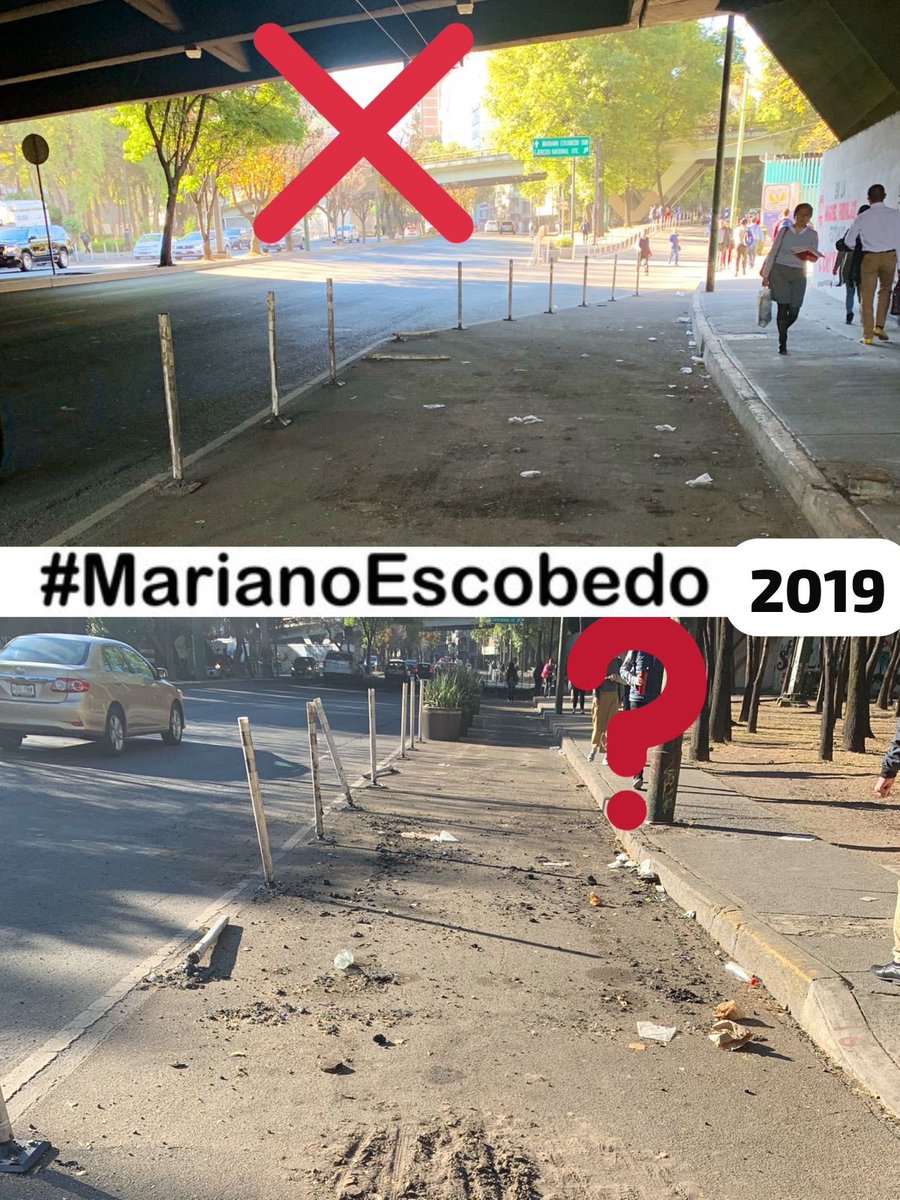 #ParquesPolanco 🌳 tweet media