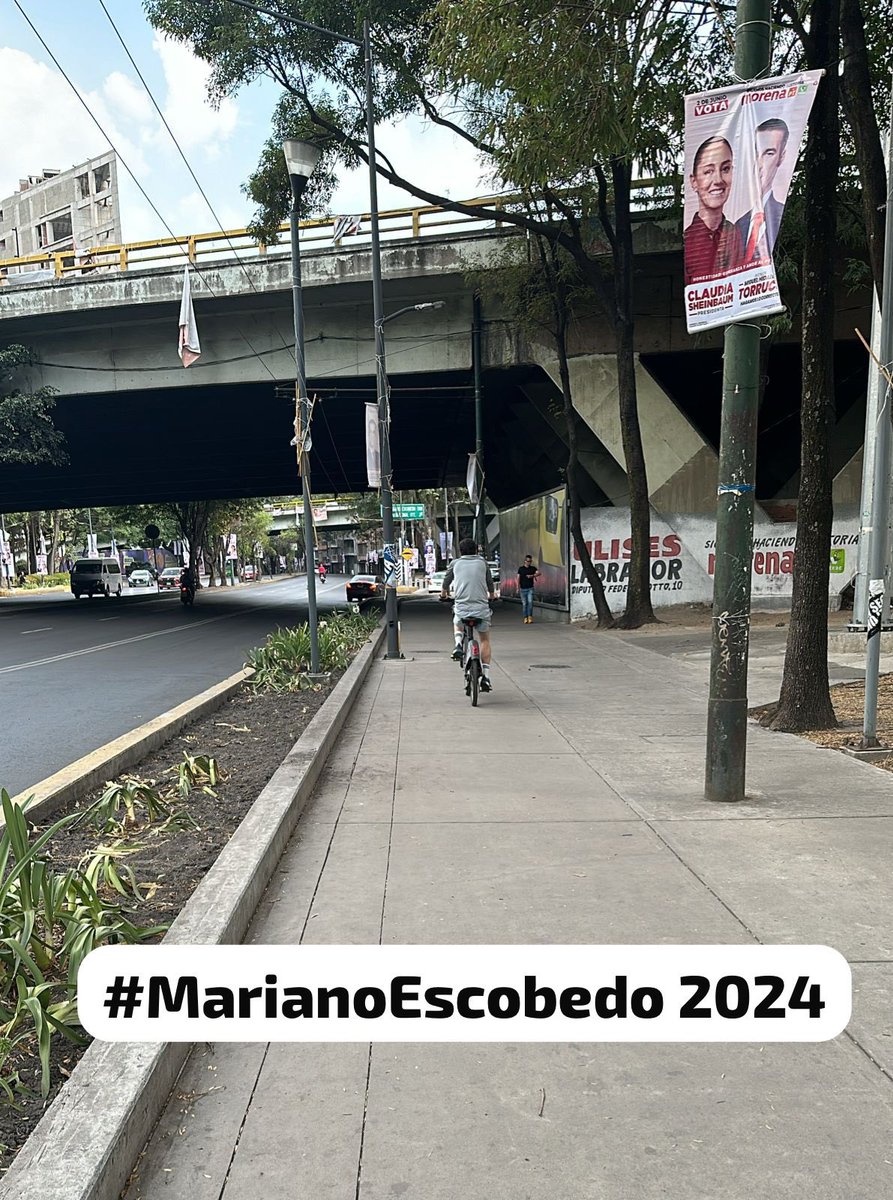 #ParquesPolanco 🌳 tweet media