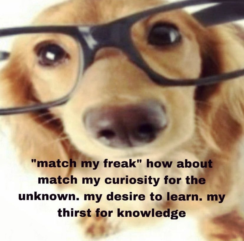 northstardoll's tweet image. 