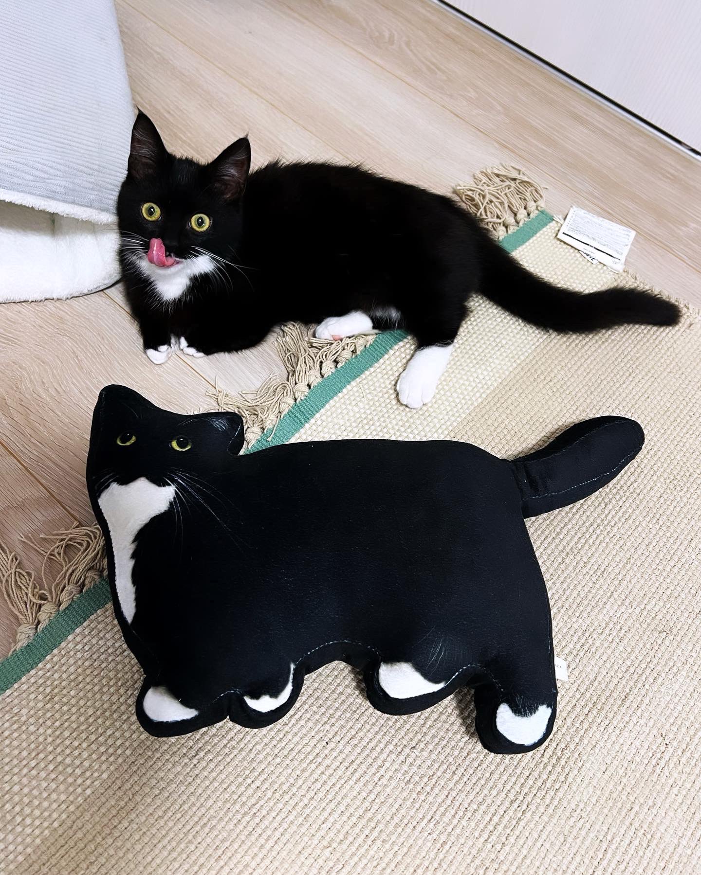 こはぜ on X: こはぜ on X: