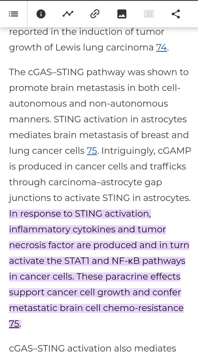 🚨👀💉 Cancer. Metastasis. 
Paracrine effects. cGAS STING. 
(I alternate posting nature photos because the stuff gets depressing)
embopress.org/doi/full/10.15….