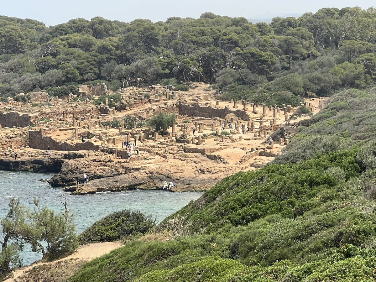 nelkassabany's tweet photo. Spent the past three days in the beautiful #algeria sharing and spreading love for #RAAPM @UVaAnesthesia @UVARegional @AminaBenyoucef5 thank you @BouarroudjN for the invitation and the wonderful hospitality @AFSRA10 https://t.co/yR6vfYKSEH