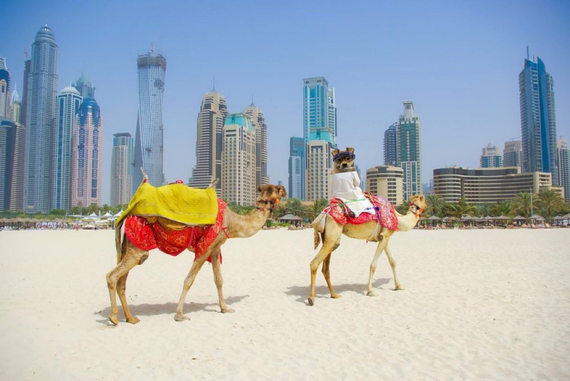 <a href="/wallstreetbets/">WallStreetBets</a> It’s about to be a beautiful Solana Summer 

#norugs #nohat #nohatmovement #nohatsummer $NOHAT <a href="/nohatsolana/">NOHAT</a>