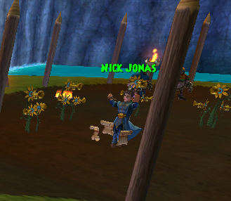 so are they allowed to take nick jonas out of wizard101 or