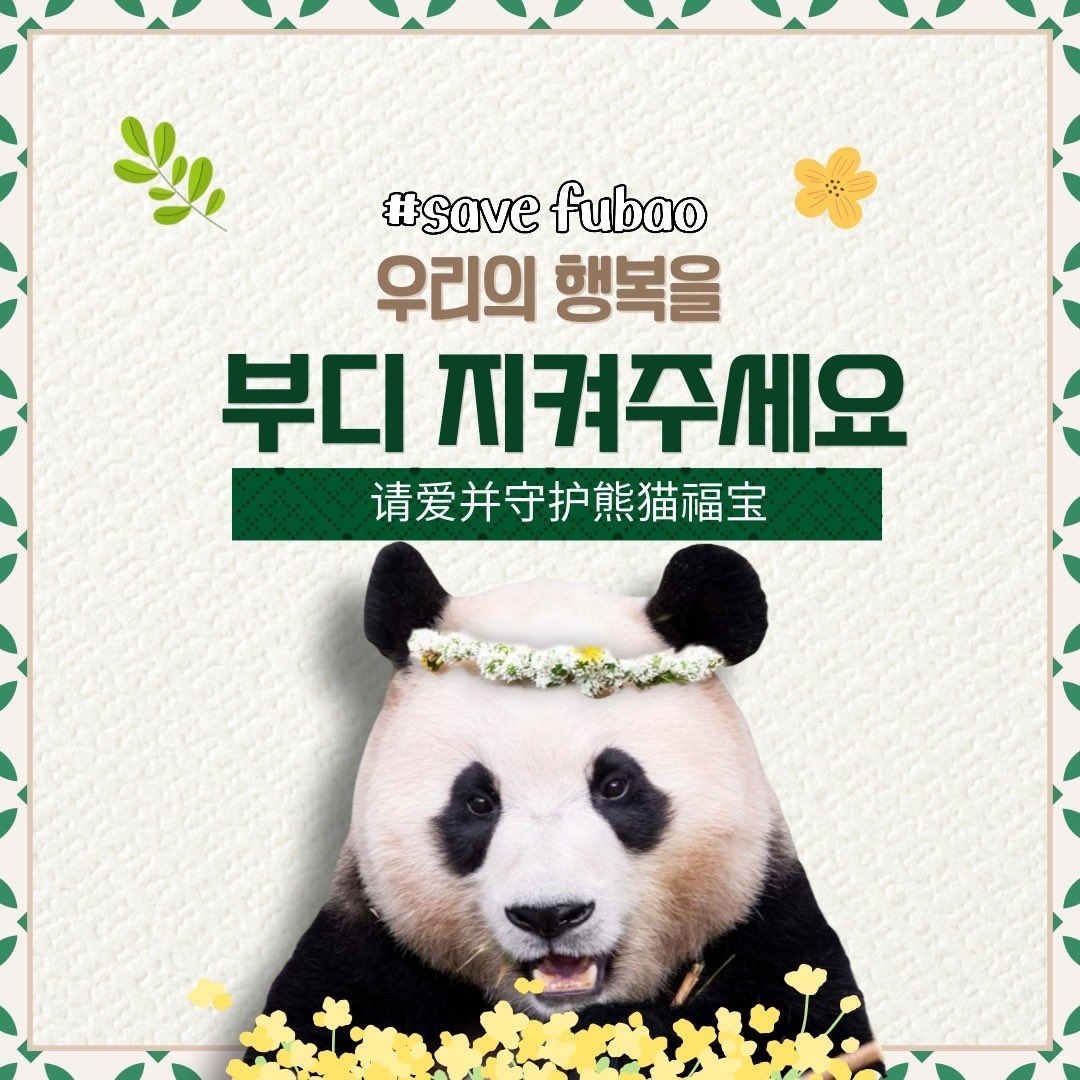 puri_1233's tweet photo. #SaveFubao #푸바오 
#福宝 #panda #Fubao 
#24hrcctv #접객금지 #빠른공개 https://t.co/G8op9iiZvi