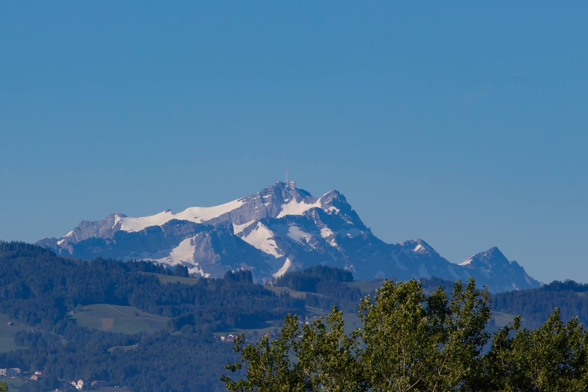 Kaiserwetter am frühen Sonntagmorgen. So schön und klar sieht man den #Säntis selten vom Nordufer des #Bodensees.