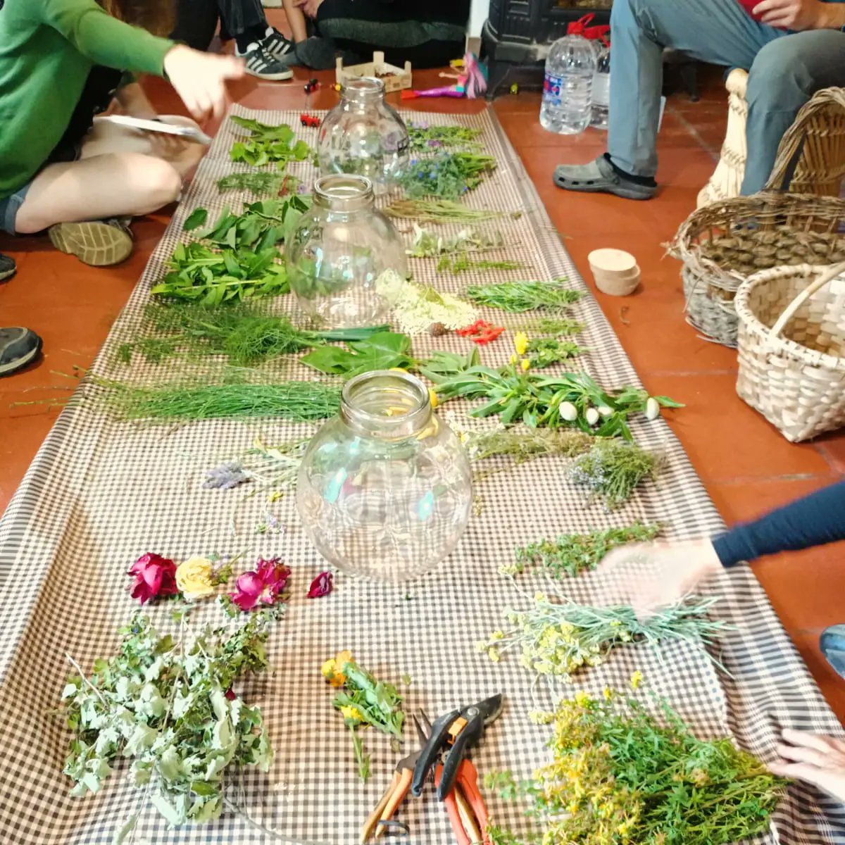 Primera trobada del taller de #ratafia comunitària de la <a href="/vallcarbonell/">Col·lectiu Vall del Carbonell</a>! 🌿🪻🌼