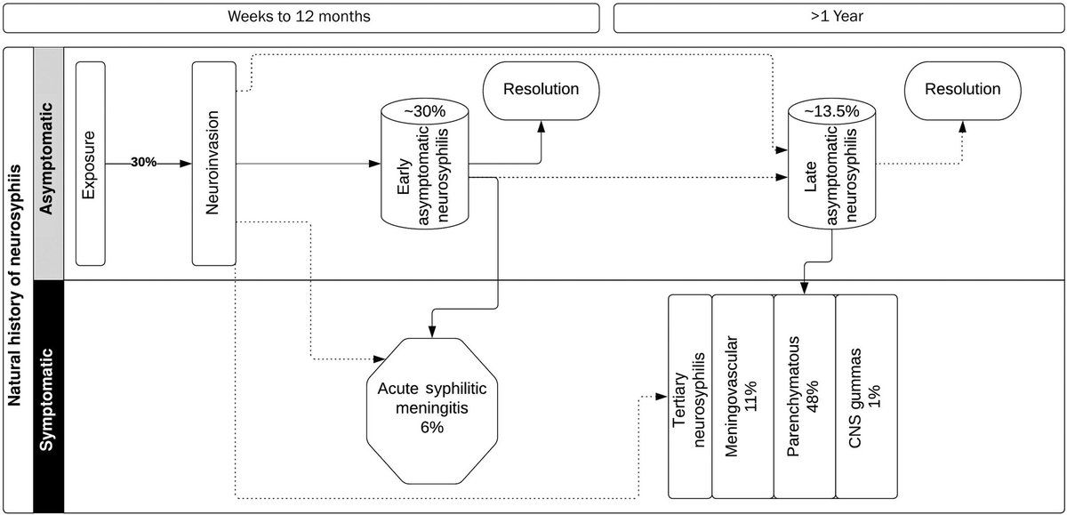 Revisión 🙇🏻‍♂️📚 state-of-the-Art🖼️🎨🖌️ sobre #NEUROSIFILIS en @CIDJournal, importante conocerla porque #sifilis cada vez más frecuente📈 Incluye: 🔸Historia natural🗓️ 🔸Cuando realizar punción lumbar🧪 🔸Interpretación LCR 🧠 🔸Tratamiento, y más!💉 🔗🆓👉🏻 academic.oup.com/cid/article/78…