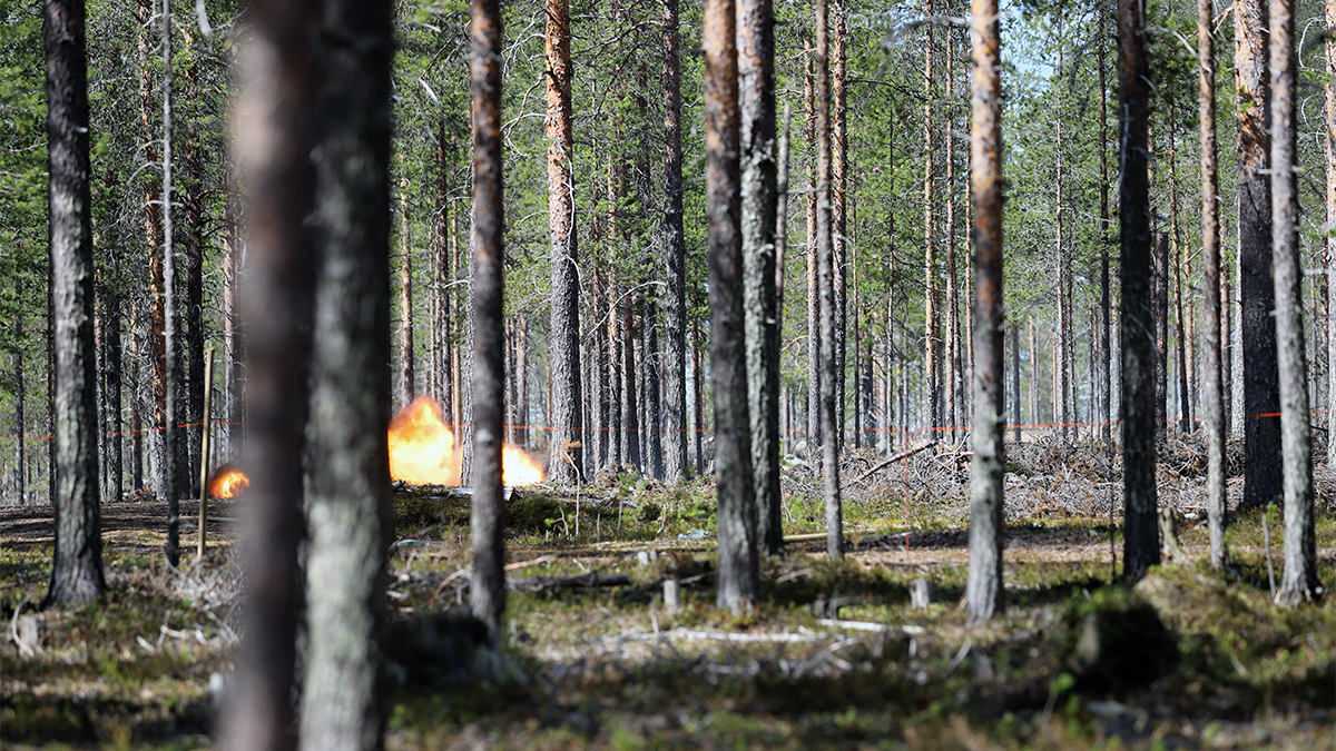 Pioneerit edistävät taisteluosaston toimintaa raivaamalla sirotemiinoitetta reitillä, jota joukko tarvitsee edetäkseen. Meidän ja @JaakariPR #pioneeri aliupseerikurssilaiset tekevät järjestelmällistä työtä uralla.

#kaipr #Jääkäriprikaati #pohpionp #maavoimat  #NorthernForest24