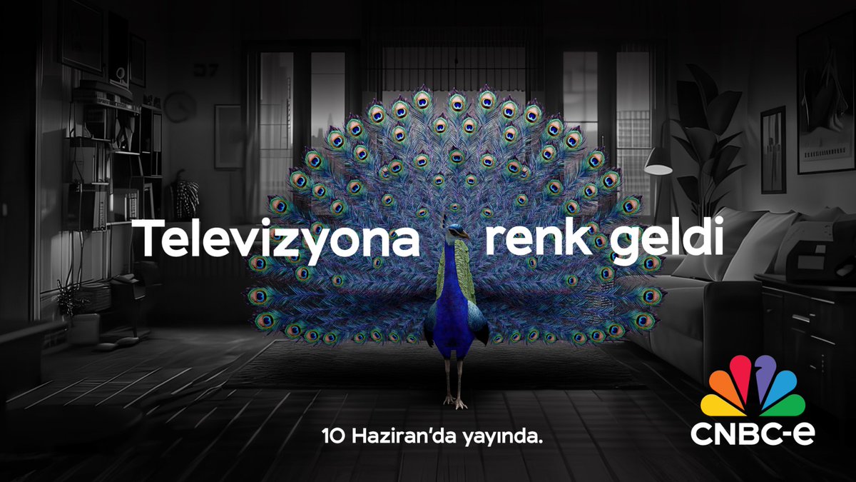Televizyona renk geldi