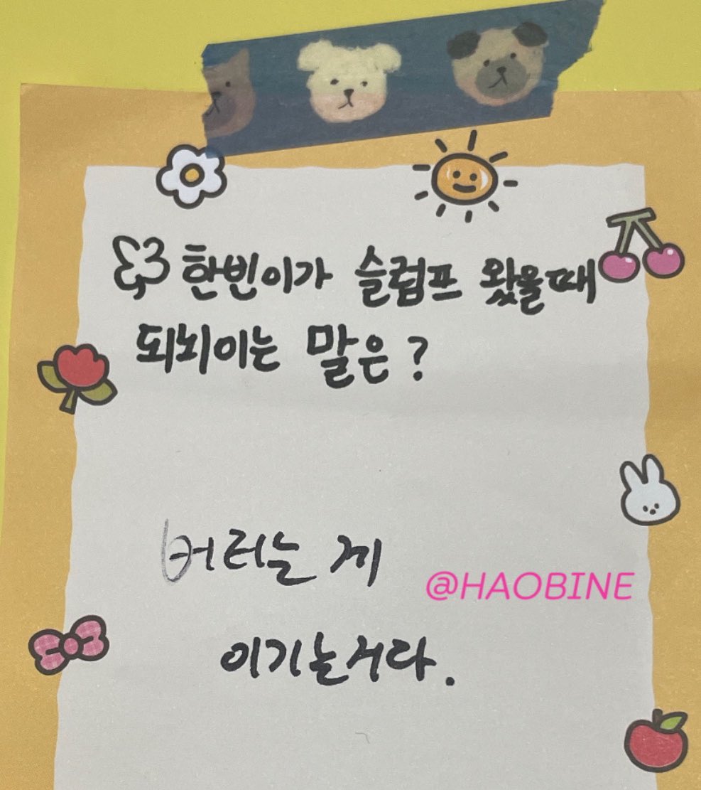 What words Hanbin will repeat when you are in a slump/depression? 🐹🐱: it's a win if you endure it well. What do you think when you see Gunwook bring the potato lips doll (hanbin's gift) everywhere? 🐹🐱: So cute, I want to make him as my little brother