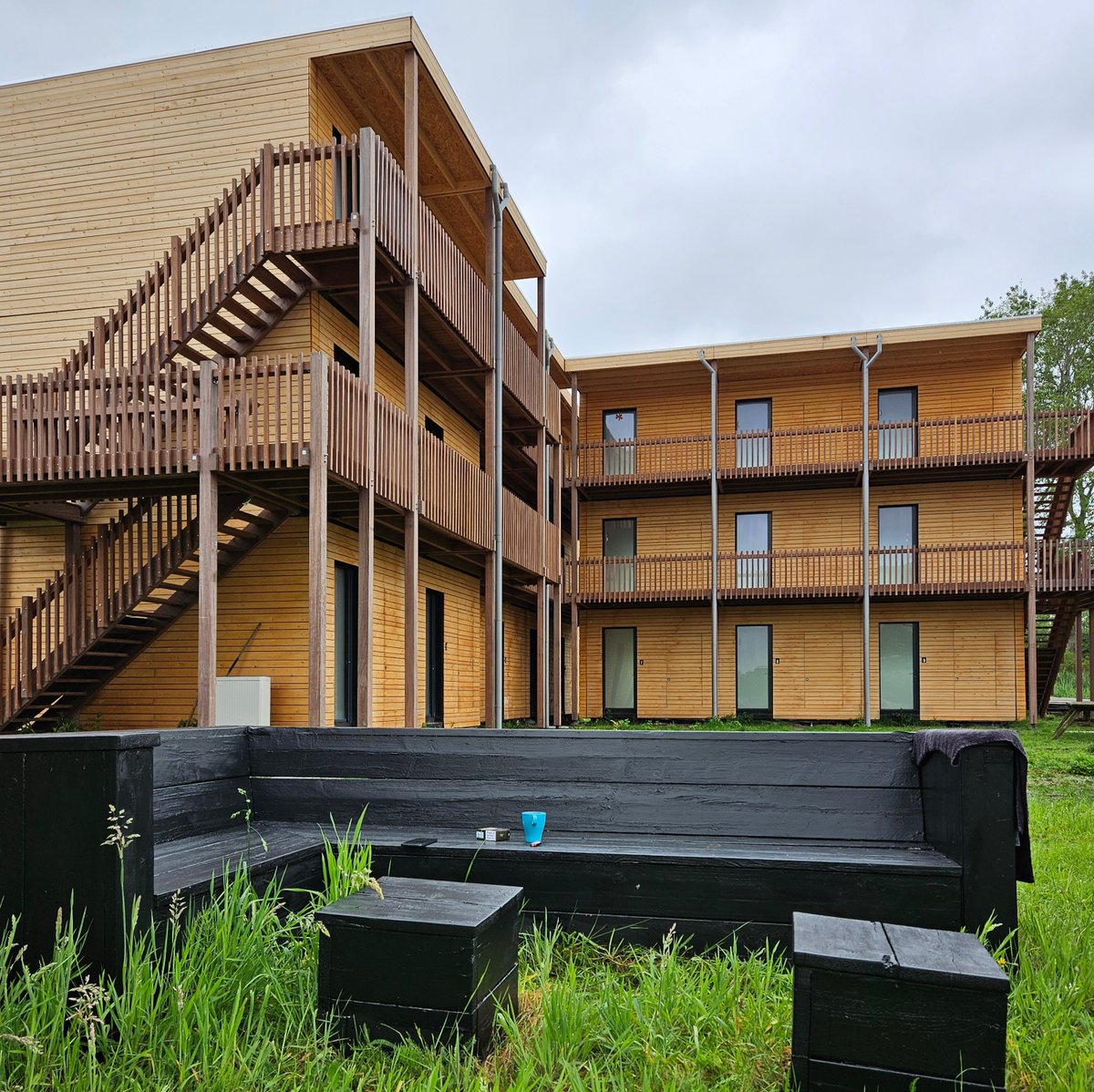 Het groeit en groeit aan de Koningsduin...